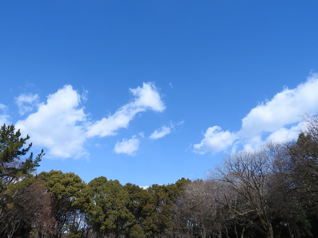 綺麗な青空