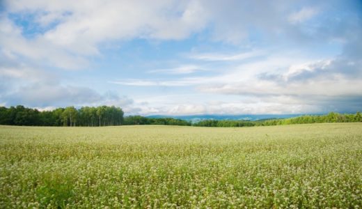 【うつブログ】うつ病の治療は自分にあったものを。経験を交えた治療法解説